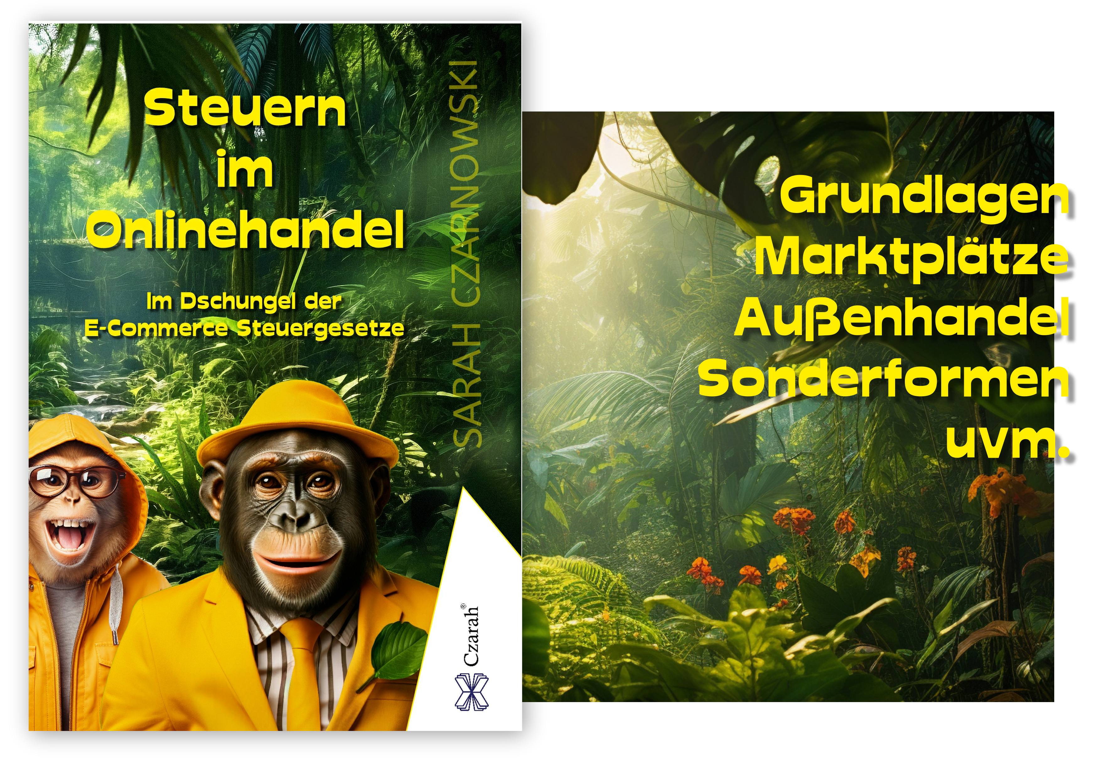 Steuergesetze für Onlinehändler